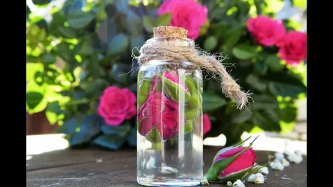 معرفی عرق گلاب ترگل + بهترین قیمت خرید